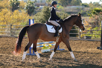 IMG_1520CRD1
