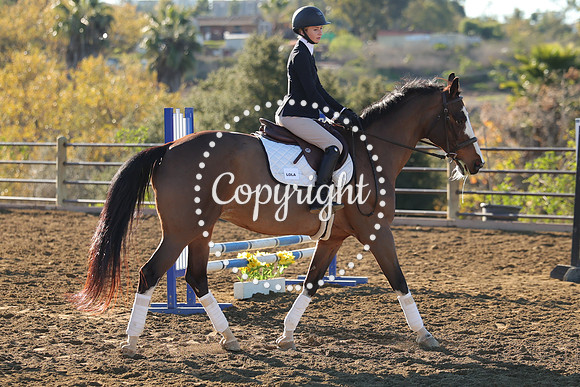 IMG_1520CRD1