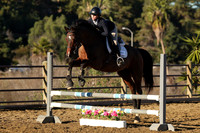 IMG_1246CRD1