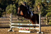 IMG_1245CRD1