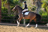 IMG_1919CRD1
