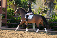 IMG_1921CRD1