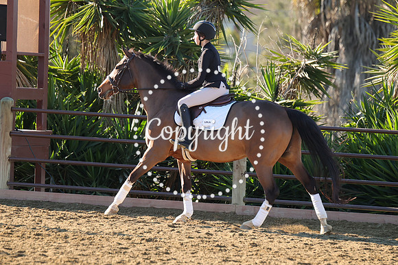 IMG_1921CRD1