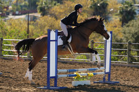 IMG_1931CRD1