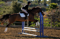IMG_1923CRD1