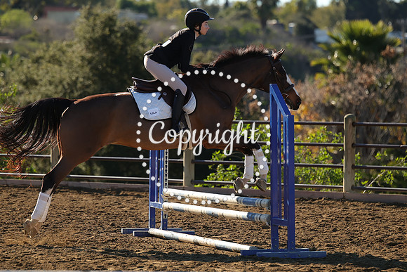 IMG_1923CRD1