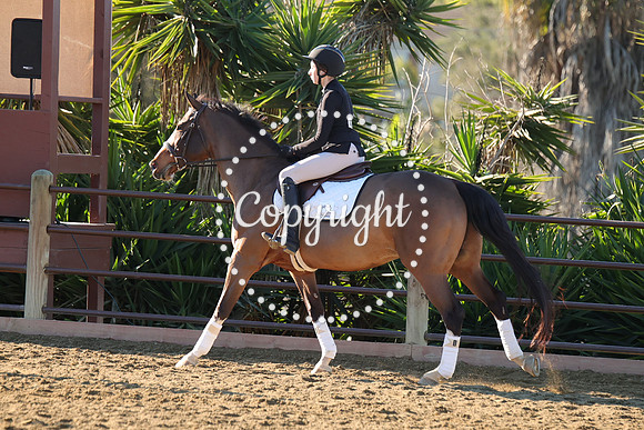 IMG_1922CRD1