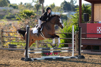 IMG_1940CRD1