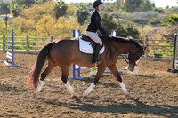 IMG_1947CRD1