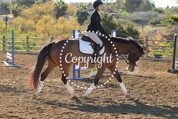 IMG_1947CRD1