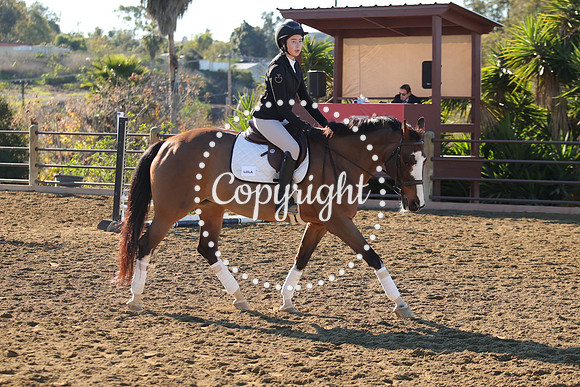 IMG_1957CRD1
