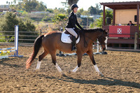 IMG_1951CRD1