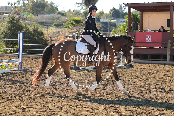 IMG_1951CRD1