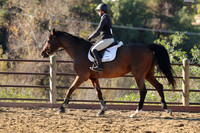 IMG_1975CRD1