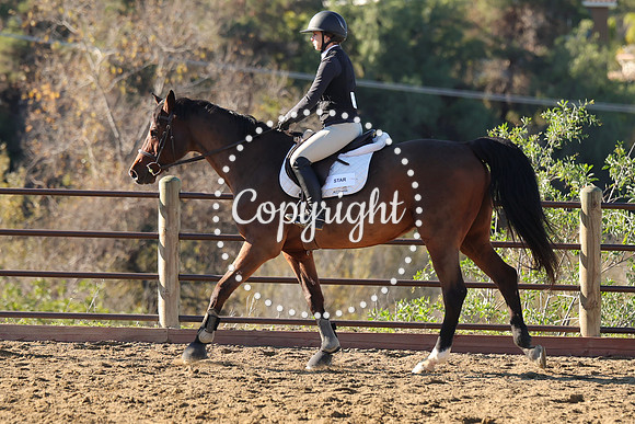 IMG_1975CRD1
