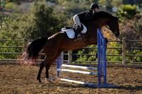 IMG_1981CRD1
