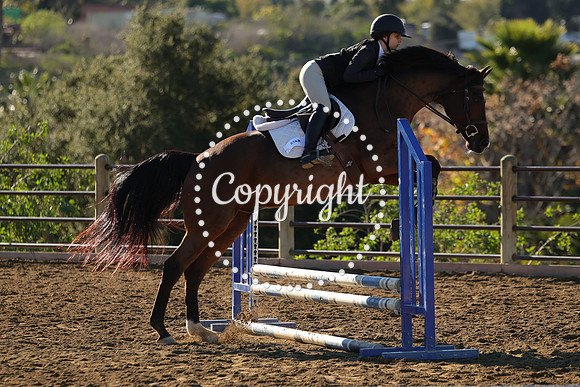 IMG_1981CRD1