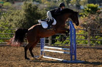 IMG_1980CRD1
