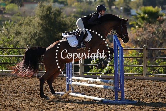IMG_1980CRD1