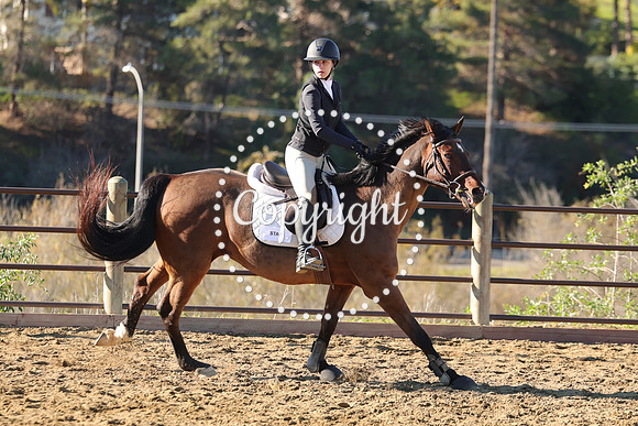 IMG_1989CRD1