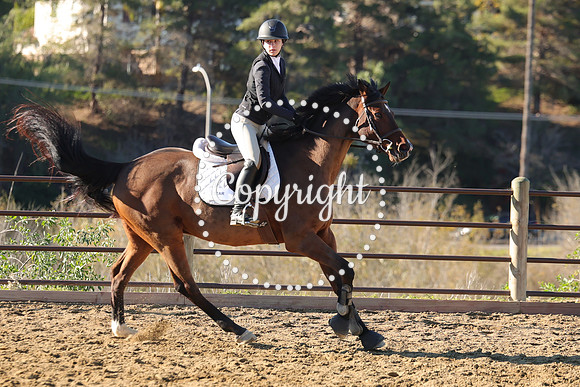 IMG_1986CRD1