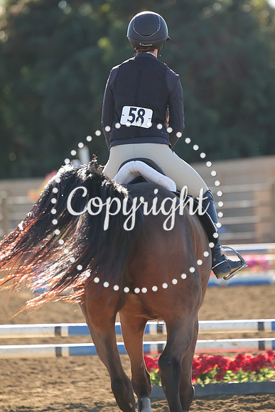 IMG_2002CRD1