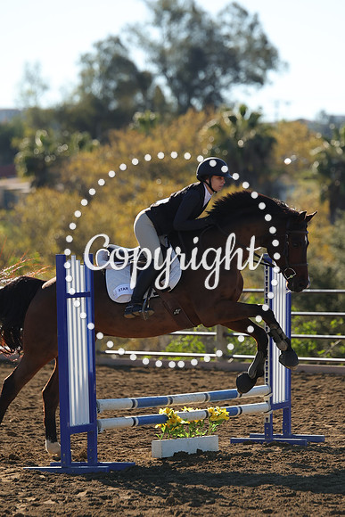 IMG_2006CRD1