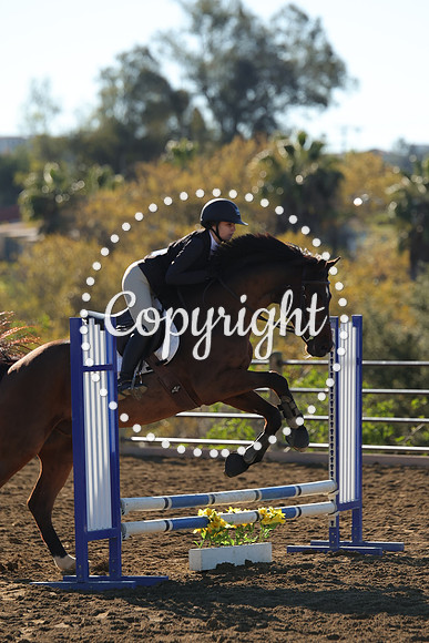 IMG_2005CRD1
