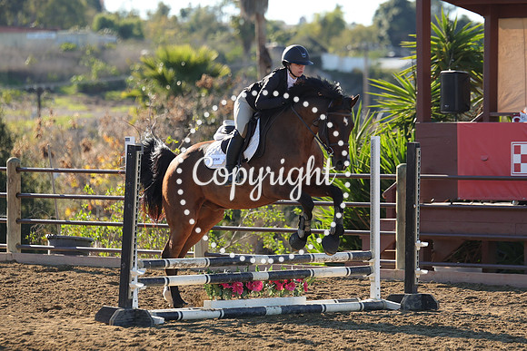 IMG_2024CRD1