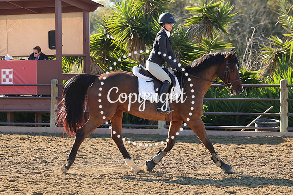 IMG_2034CRD1