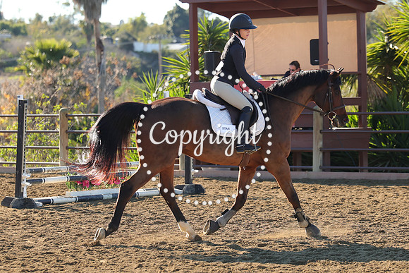 IMG_2032CRD1