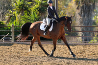 IMG_2043CRD1