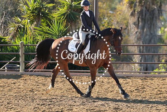 IMG_2043CRD1