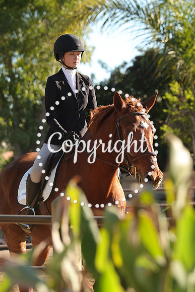IMG_5462CRD2