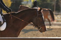 IMG_5475CRD2