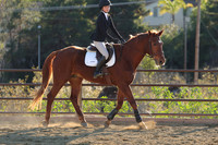 IMG_5516CRD2
