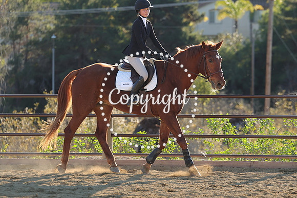 IMG_5516CRD2