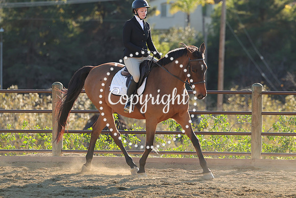 IMG_5527CRD2