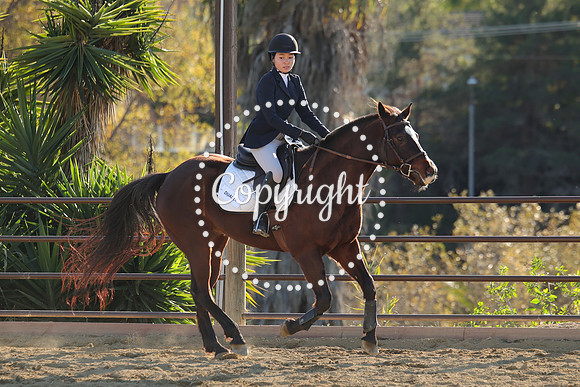 IMG_5549CRD2