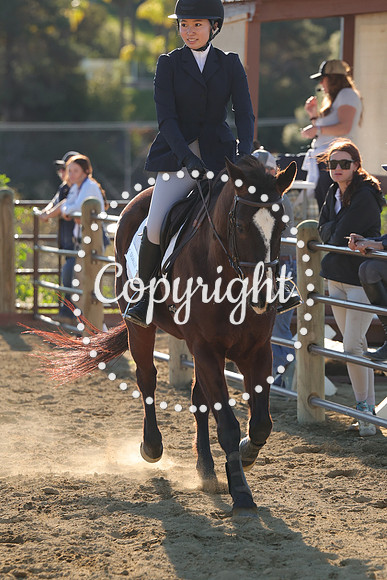 IMG_5571CRD2