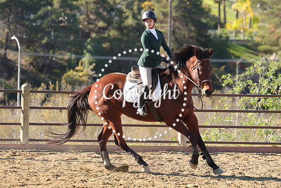 IMG_2810CRD1