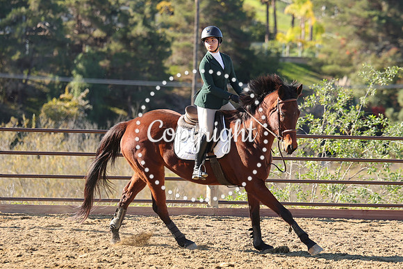 IMG_2812CRD1