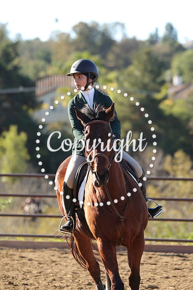IMG_2826CRD1