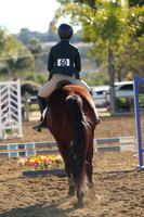 IMG_2831CRD1