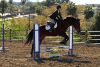 IMG_2821CRD1