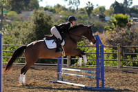 IMG_2681CRD1