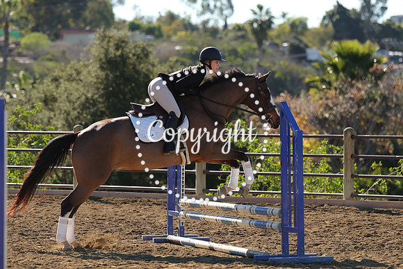 IMG_2681CRD1