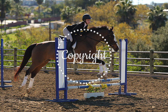 IMG_2696CRD1