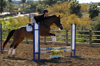 IMG_2695CRD1
