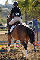 IMG_2705CRD1